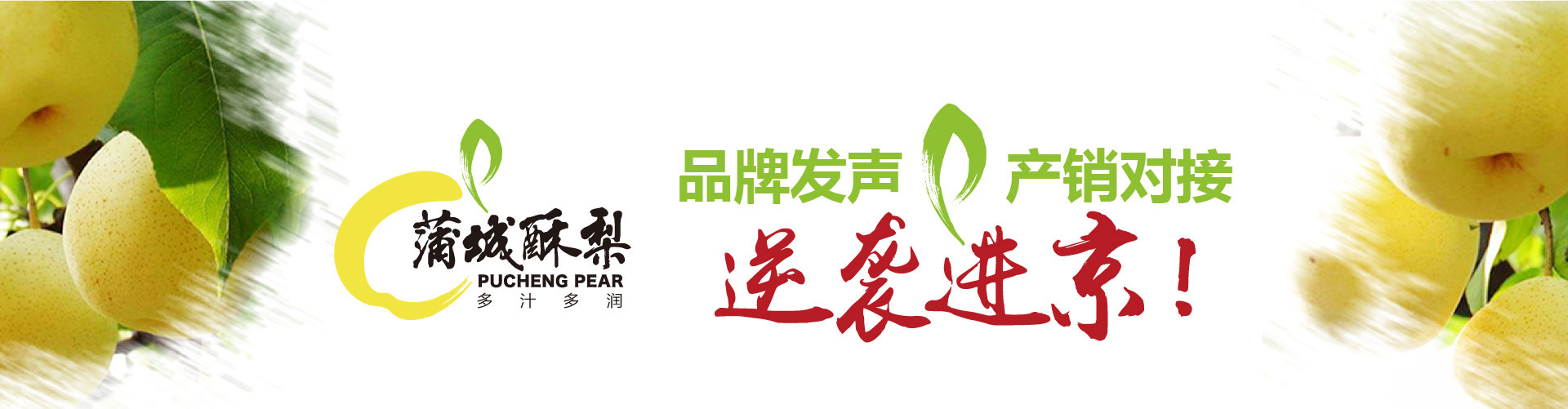 戰(zhàn)略賦能區(qū)域公用品牌，點(diǎn)亮區(qū)域經(jīng)濟(jì)