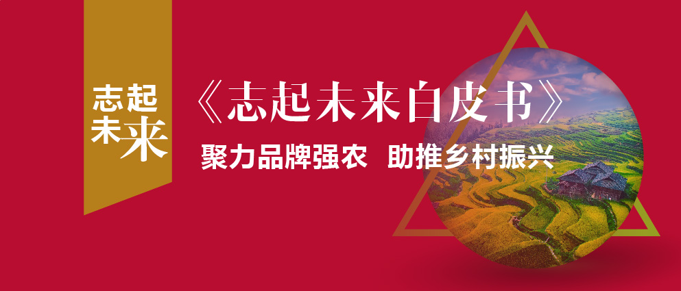 蔚州田園綜合體項(xiàng)目服務(wù)手記 ——深度剖析中國首個(gè)童年文明主題田園綜合體
