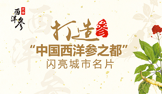 文登西洋參產業(yè)：打造“中國西洋參之都”閃亮城市名片！